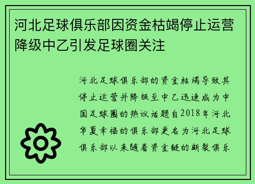 河北足球俱乐部因资金枯竭停止运营降级中乙引发足球圈关注